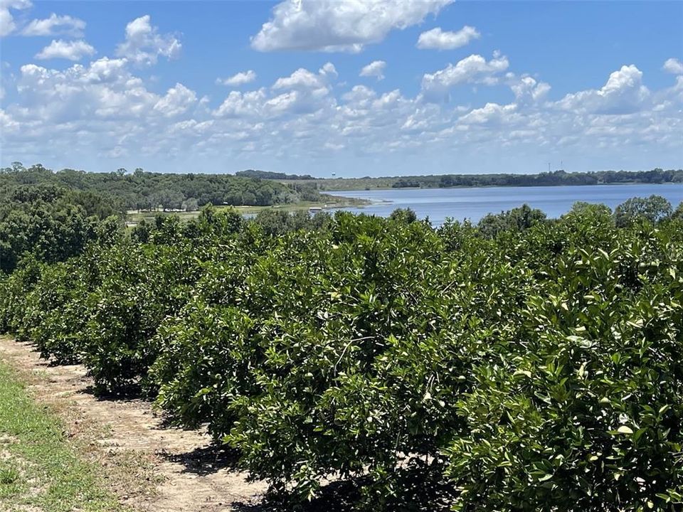 На продажу: $5,850,000 (67.50 acres)