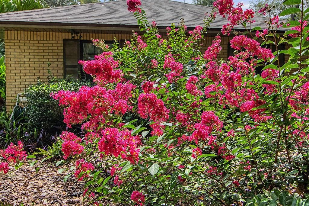 For Sale: $325,000 (3 beds, 2 baths, 1939 Square Feet)
