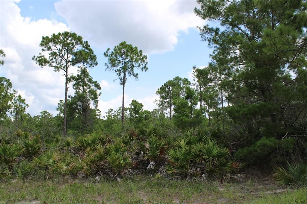 For Sale: $60,000 (0.23 acres)