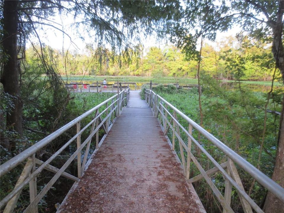 待售: $19,900 (0.30 acres)