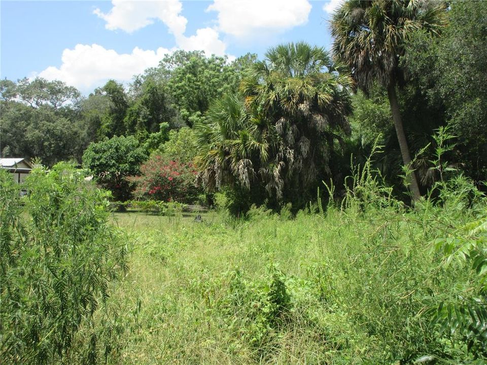 待售: $19,900 (0.30 acres)