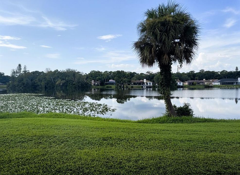 For Rent: $2,150 (3 beds, 2 baths, 1160 Square Feet)
