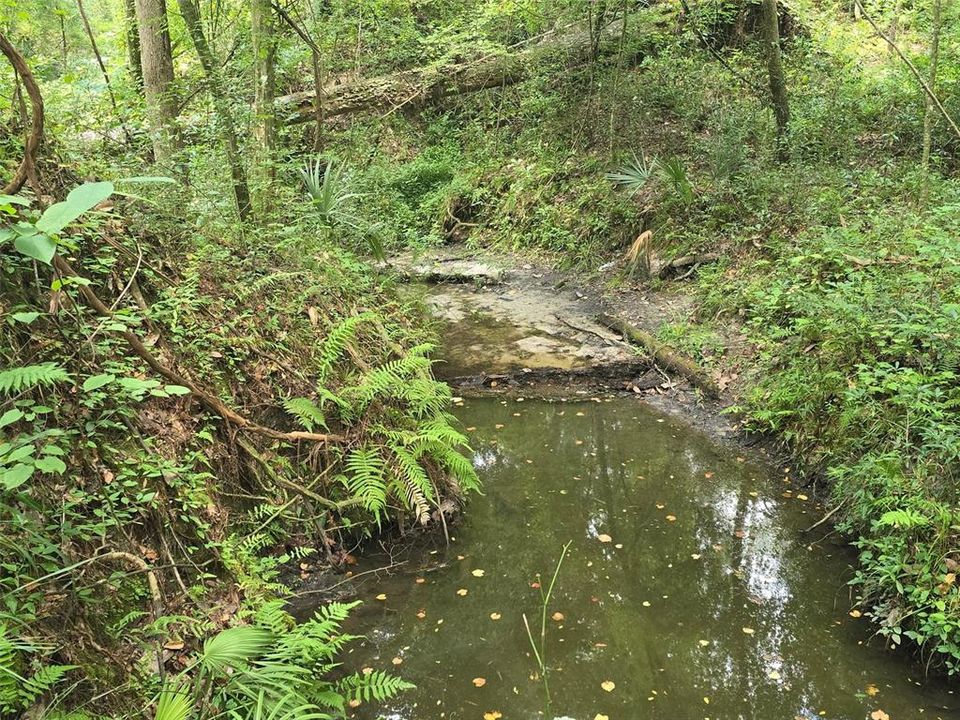 For Sale: $79,900 (1.91 acres)