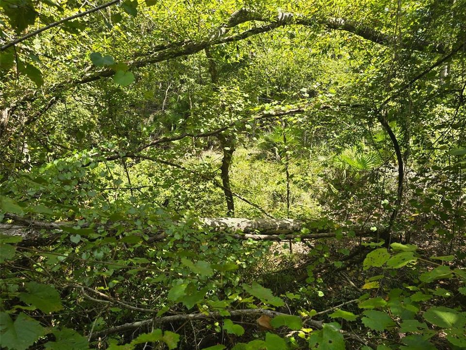 For Sale: $79,900 (1.91 acres)