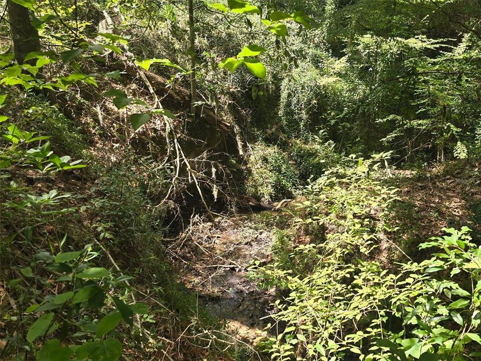 For Sale: $79,900 (1.91 acres)