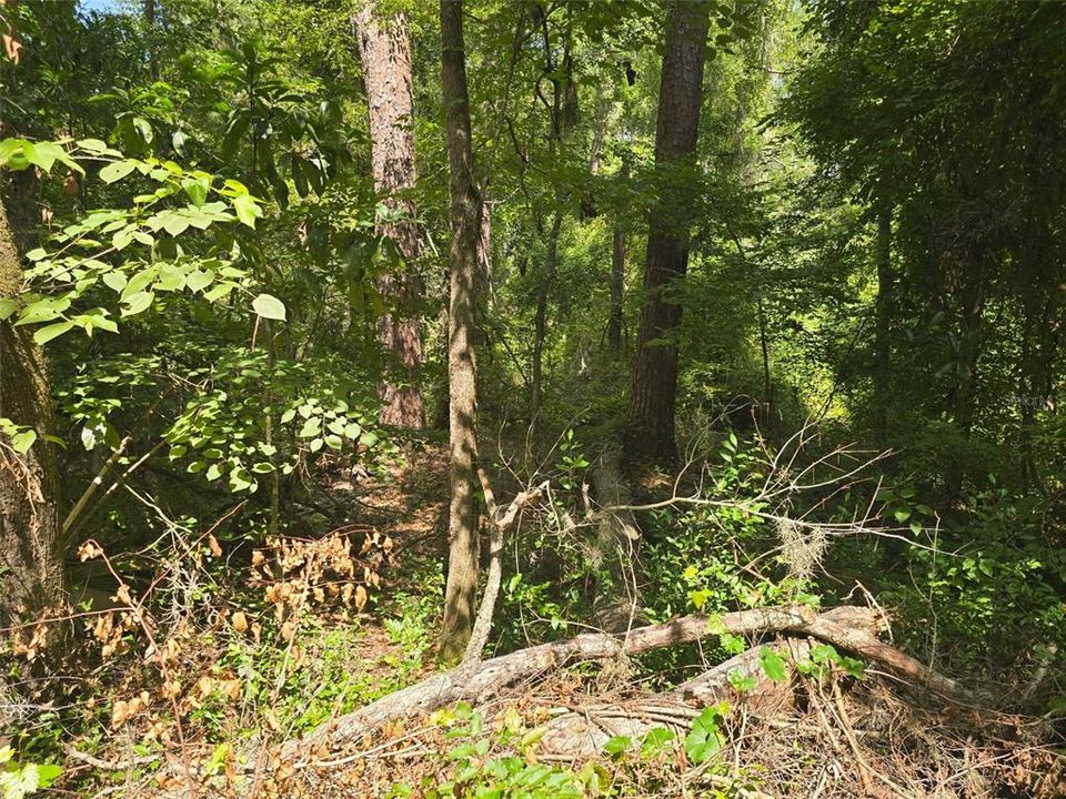 For Sale: $79,900 (1.91 acres)