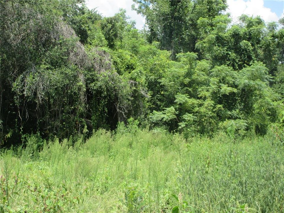 待售: $14,900 (0.30 acres)