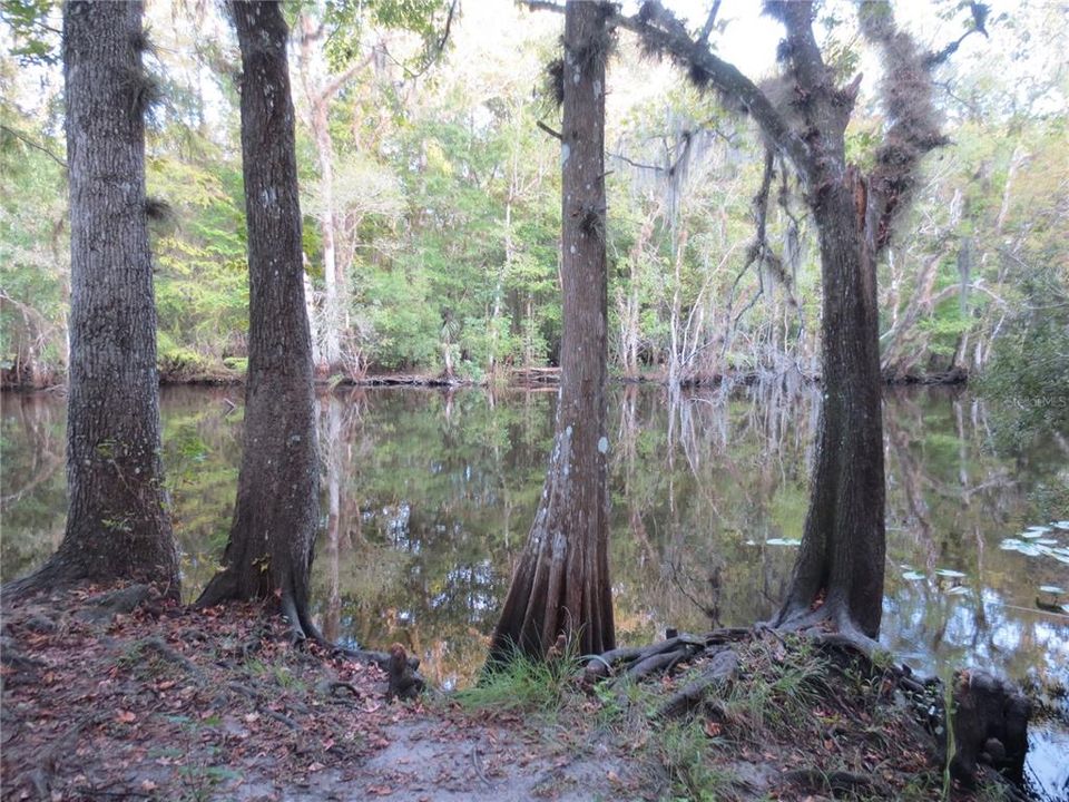 待售: $14,900 (0.30 acres)