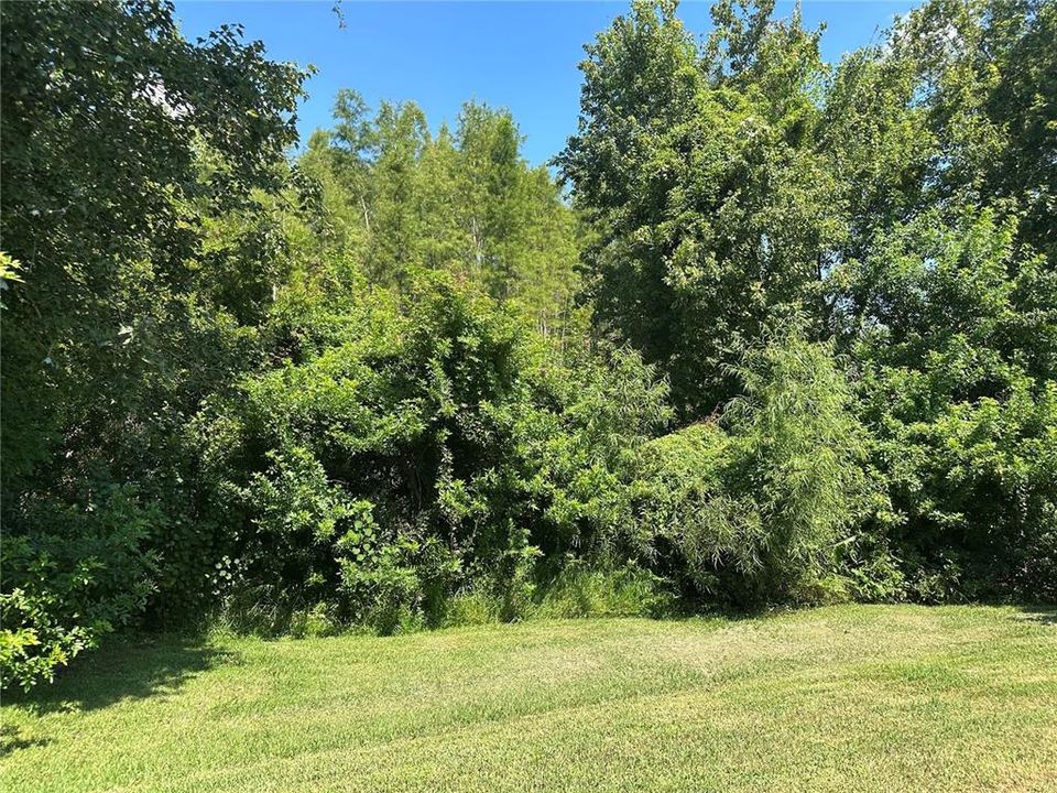 For Rent: $2,600 (4 beds, 2 baths, 1990 Square Feet)