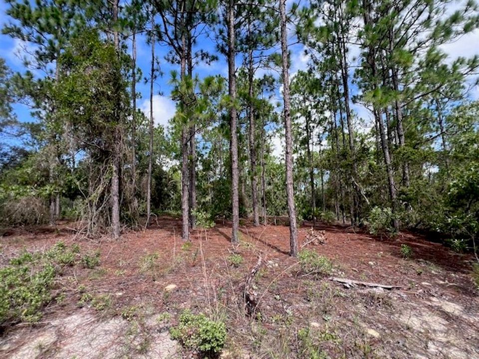 На продажу: $230,000 (9.59 acres)