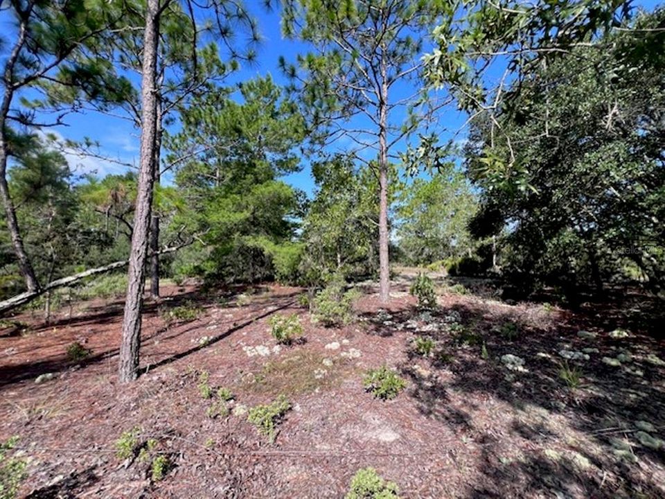 На продажу: $230,000 (9.59 acres)