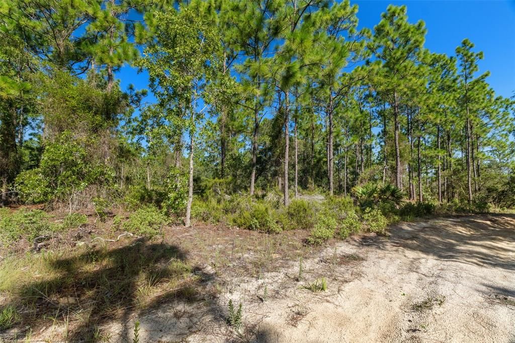 На продажу: $230,000 (9.59 acres)