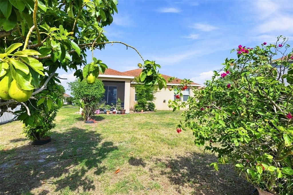 En Venta: $277,500 (3 camas, 2 baños, 1489 Pies cuadrados)