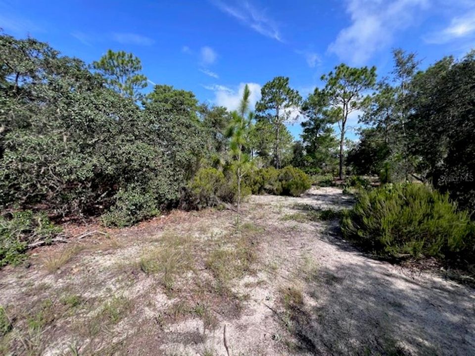 На продажу: $190,000 (7.63 acres)