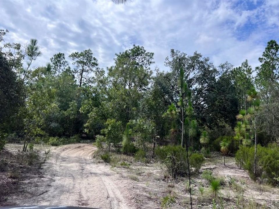 На продажу: $190,000 (7.63 acres)