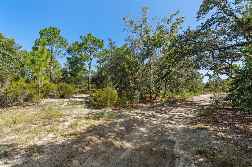 На продажу: $190,000 (7.63 acres)