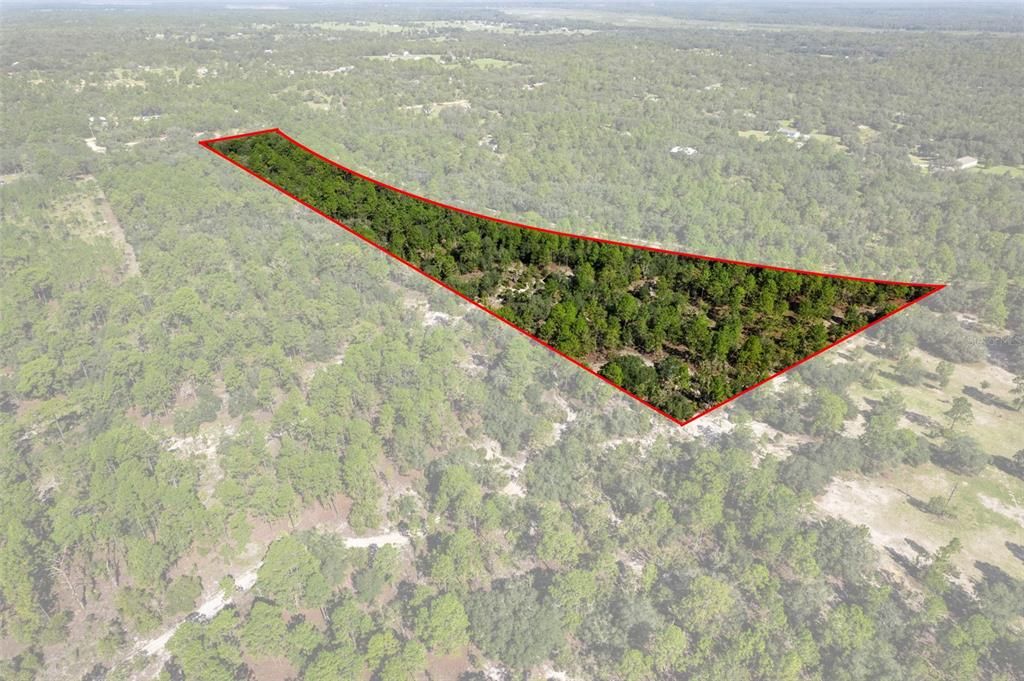 На продажу: $190,000 (7.63 acres)