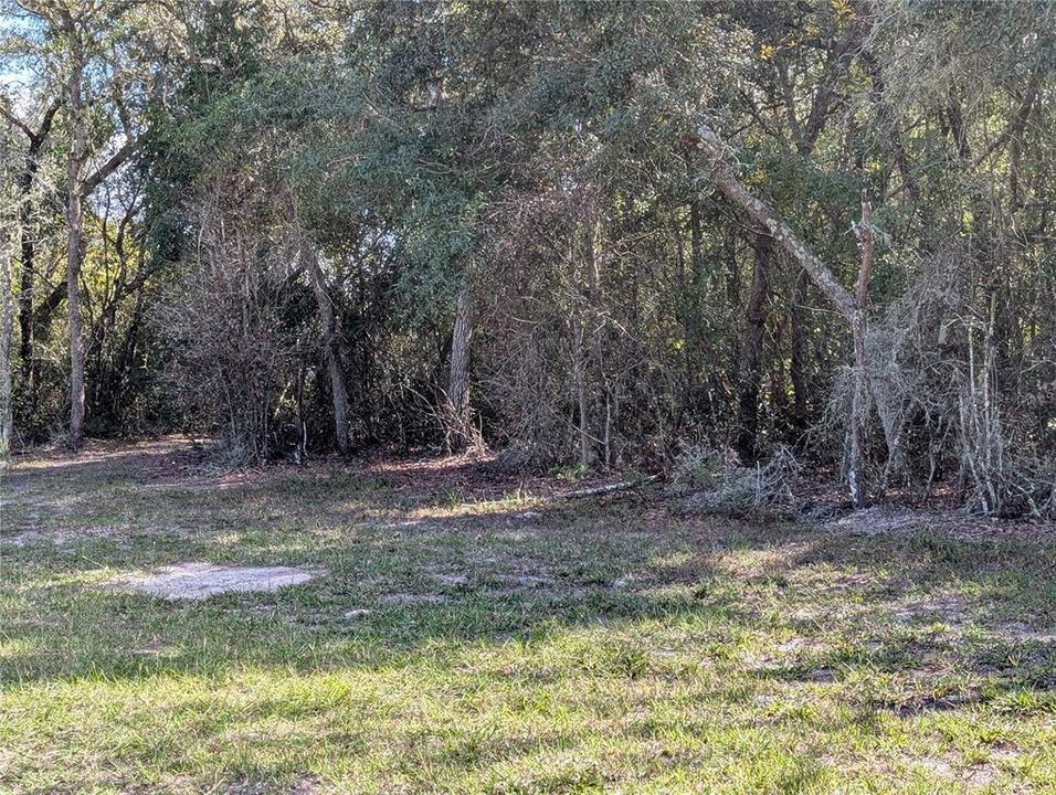 For Sale: $47,900 (0.81 acres)