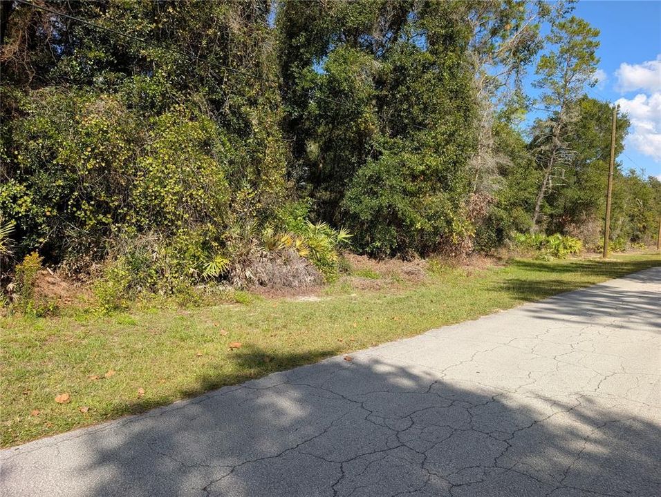 For Sale: $47,900 (0.81 acres)
