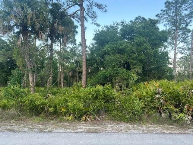 For Sale: $14,900 (0.21 acres)