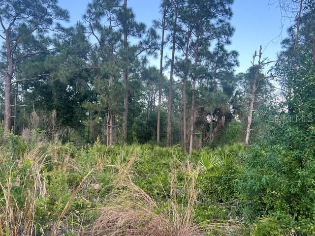 For Sale: $14,900 (0.21 acres)