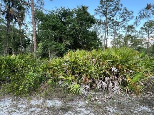 For Sale: $14,900 (0.21 acres)