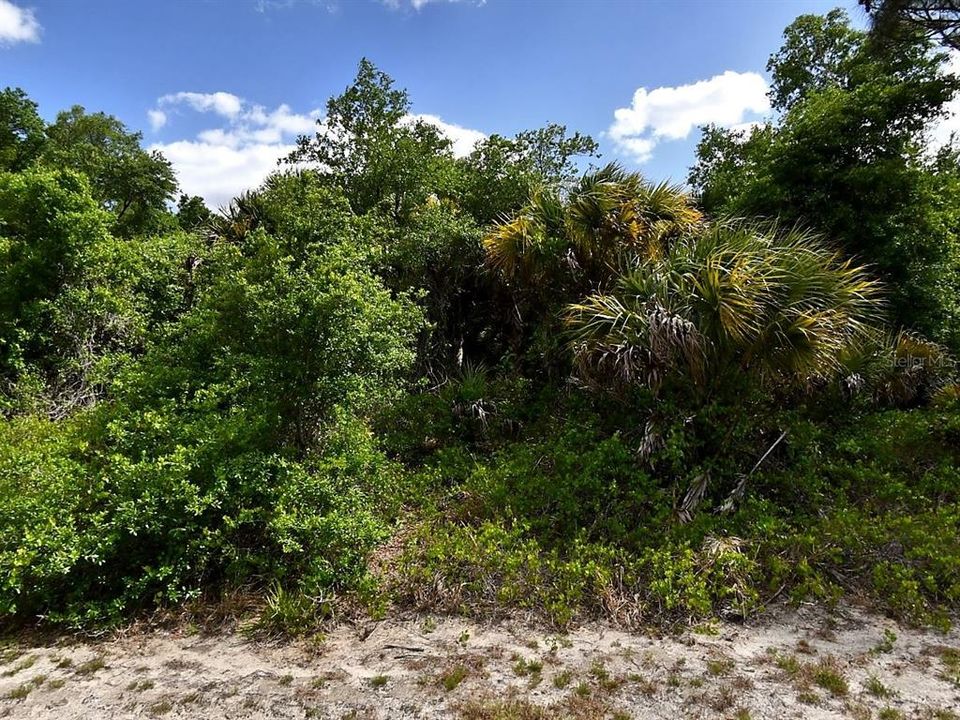 For Sale: $12,700 (0.22 acres)