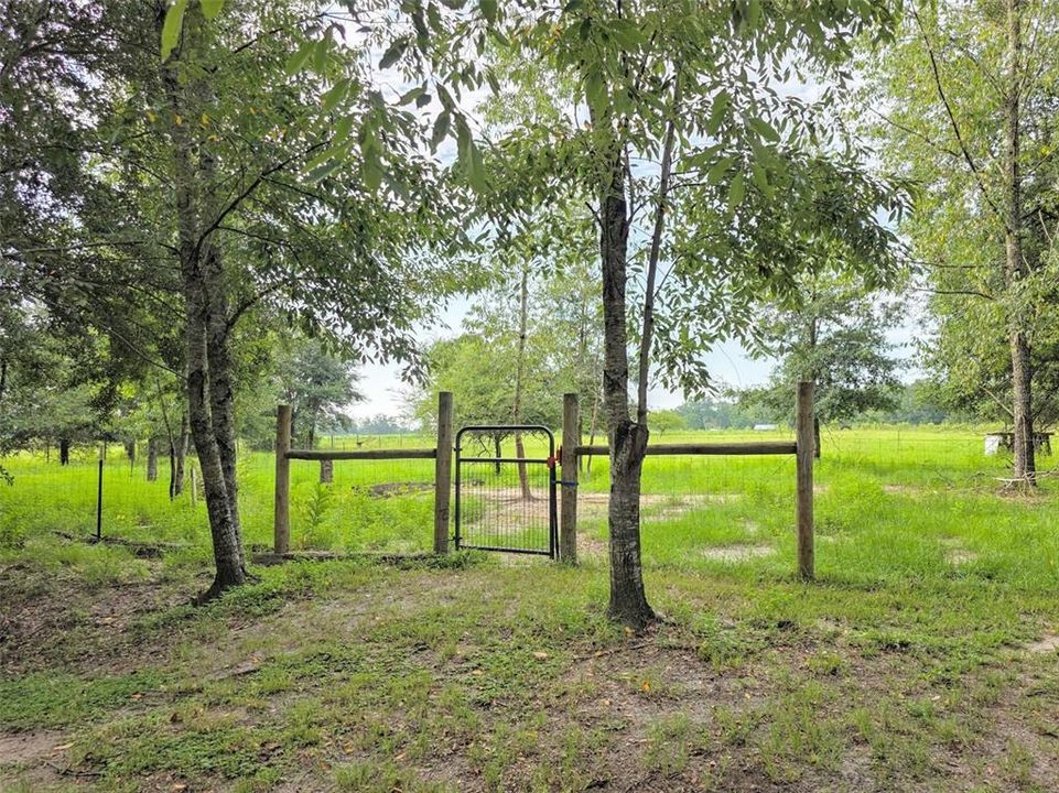 For Sale: $275,000 (3 beds, 1 baths, 1577 Square Feet)