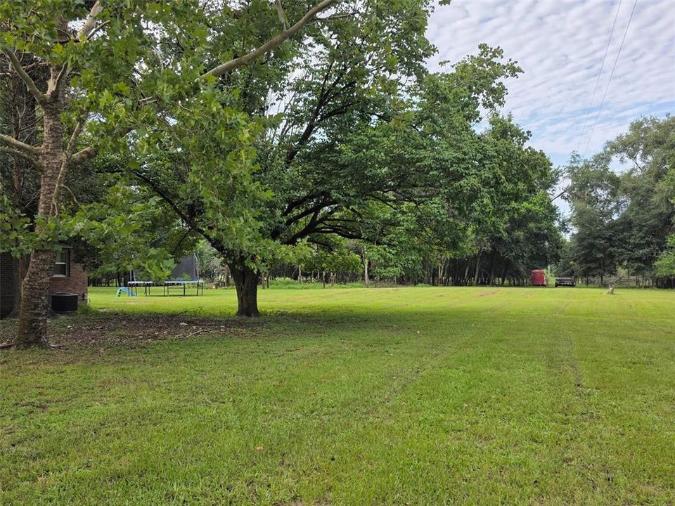 For Sale: $275,000 (3 beds, 1 baths, 1577 Square Feet)