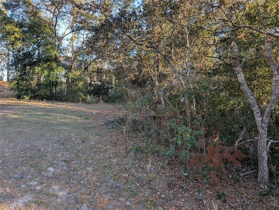 待售: $19,500 (0.23 acres)
