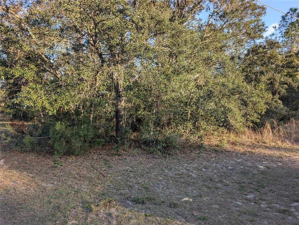 待售: $19,500 (0.23 acres)