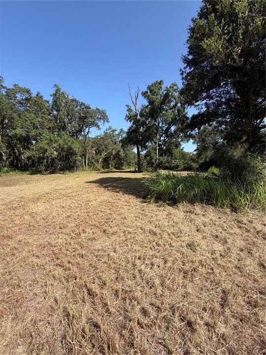 For Sale: $199,000 (5.00 acres)