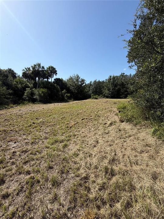 For Sale: $199,000 (5.00 acres)