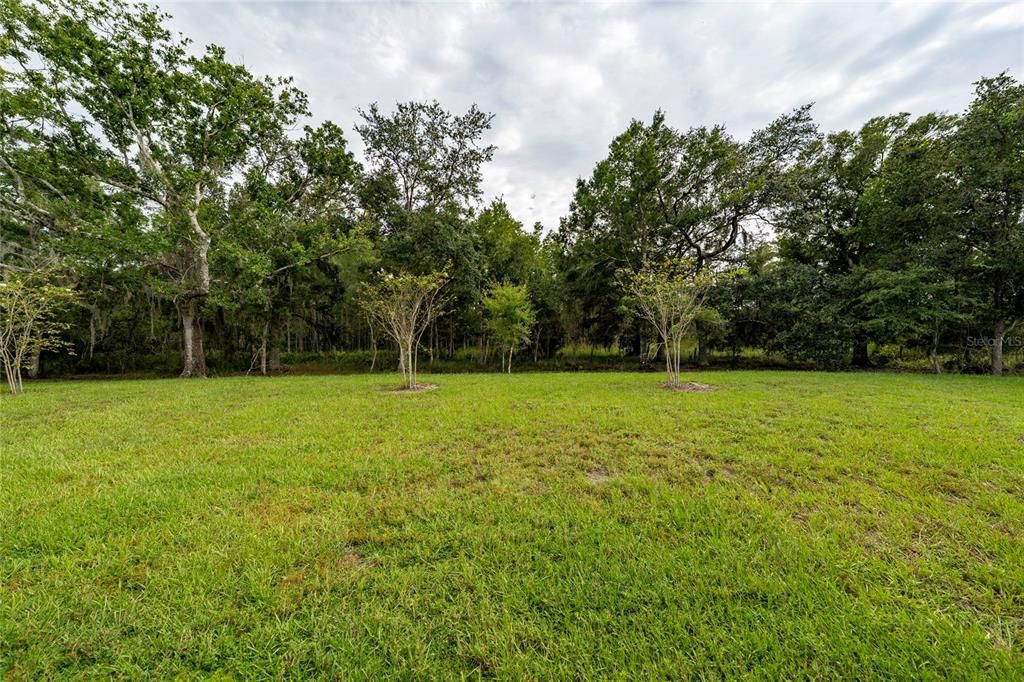 For Sale: $415,000 (4 beds, 2 baths, 2357 Square Feet)