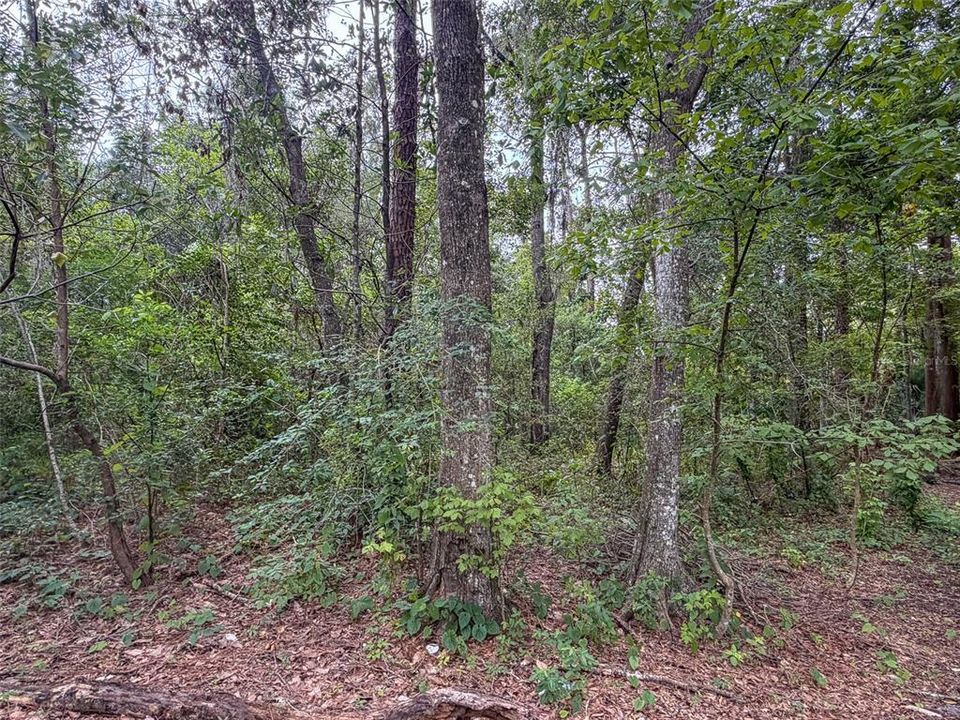 待售: $174,900 (0.55 acres)