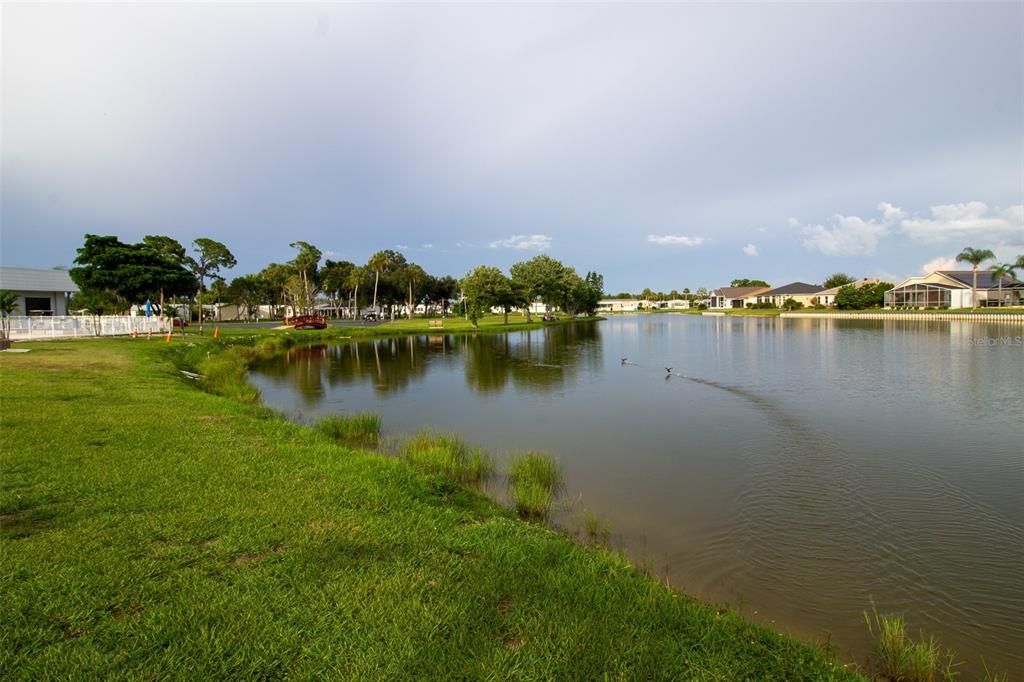 На продажу: $29,900 (0.05 acres)