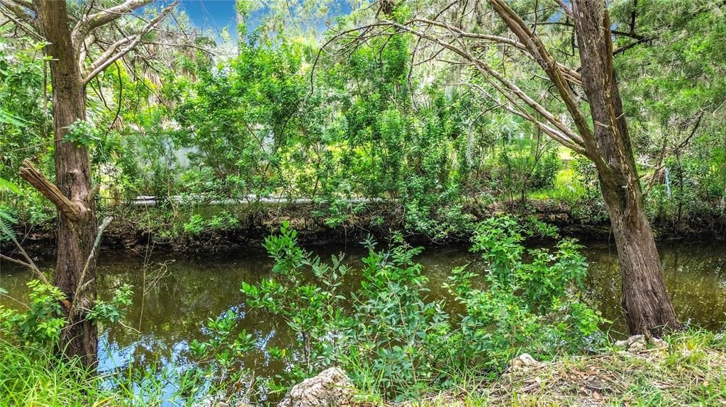For Sale: $55,000 (0.19 acres)