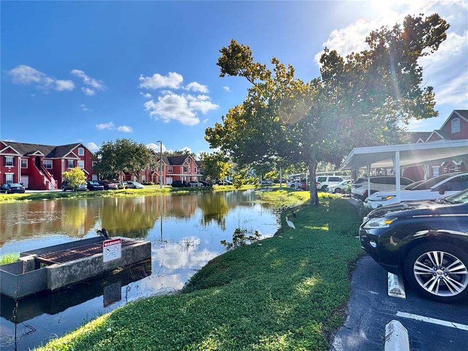 For Rent: $1,975 (1 beds, 1 baths, 904 Square Feet)