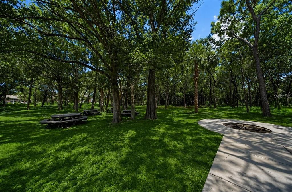 For Rent: $2,000 (3 beds, 2 baths, 985 Square Feet)
