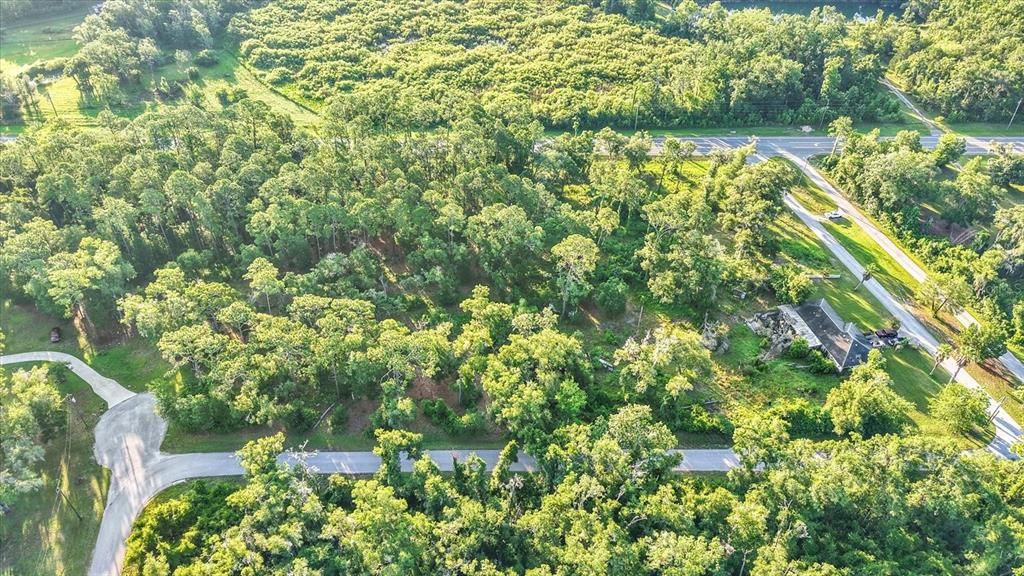 待售: $125,000 (1.15 acres)
