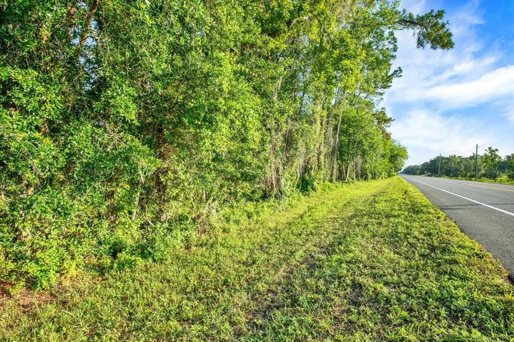 待售: $125,000 (1.15 acres)