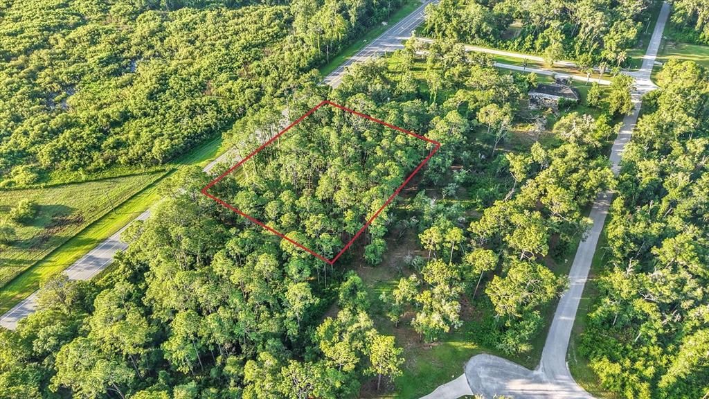 待售: $125,000 (1.15 acres)