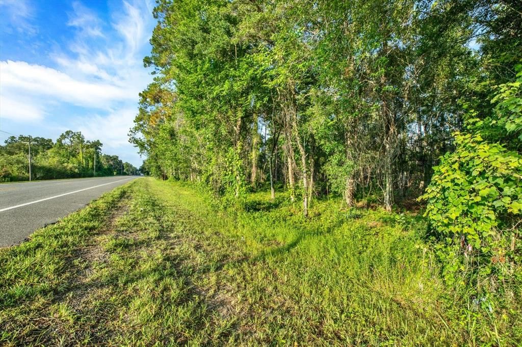 待售: $125,000 (1.15 acres)