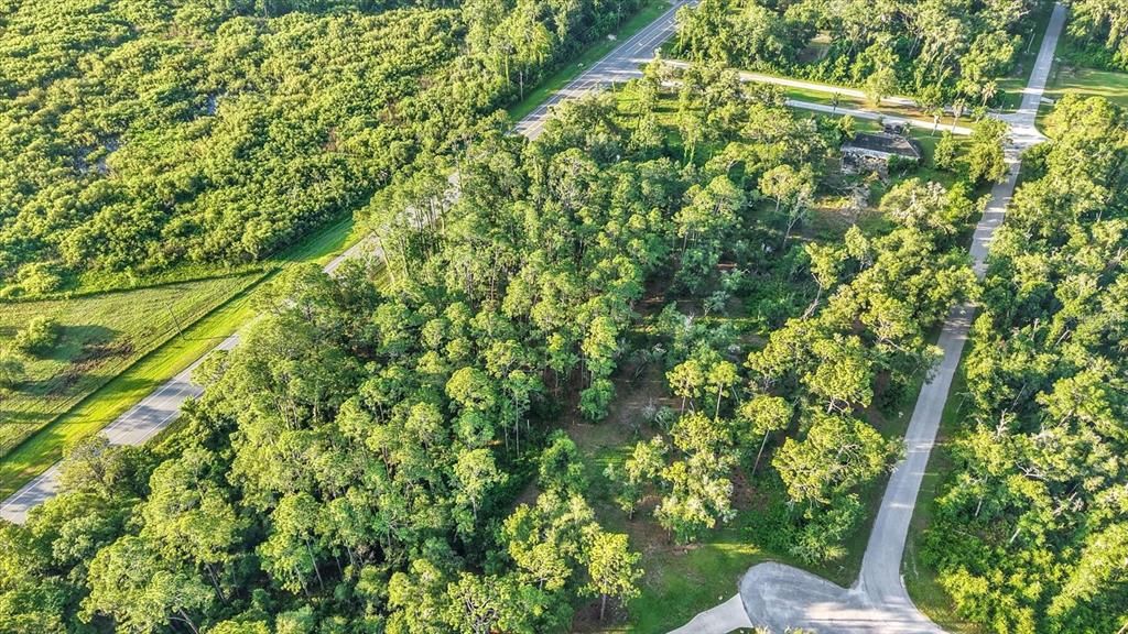 待售: $125,000 (1.15 acres)