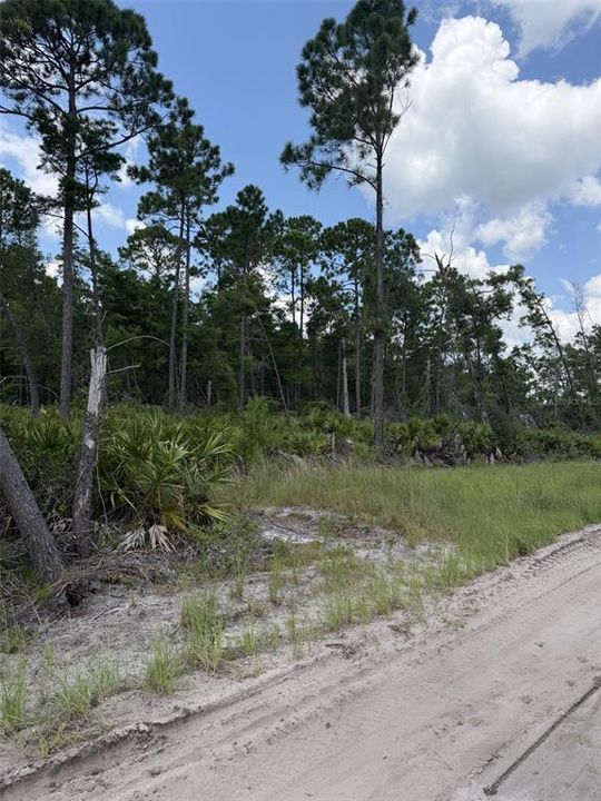 For Sale: $79,000 (0.71 acres)