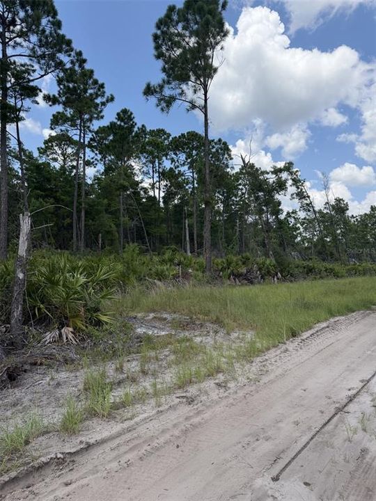 For Sale: $79,000 (0.71 acres)