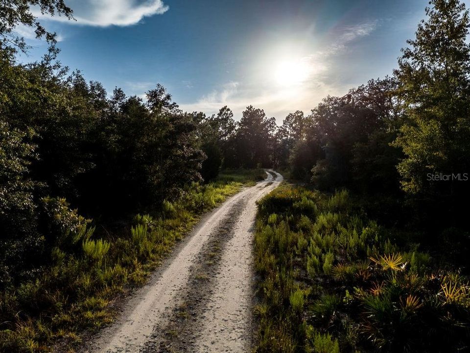 En Venta: $37,500 (1.19 acres)