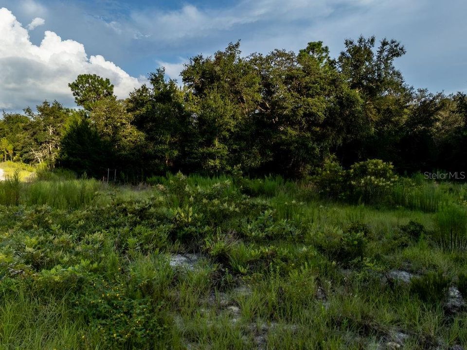 En Venta: $37,500 (1.19 acres)