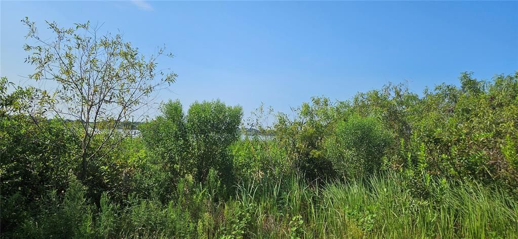 На продажу: $1,270,000 (20.26 acres)