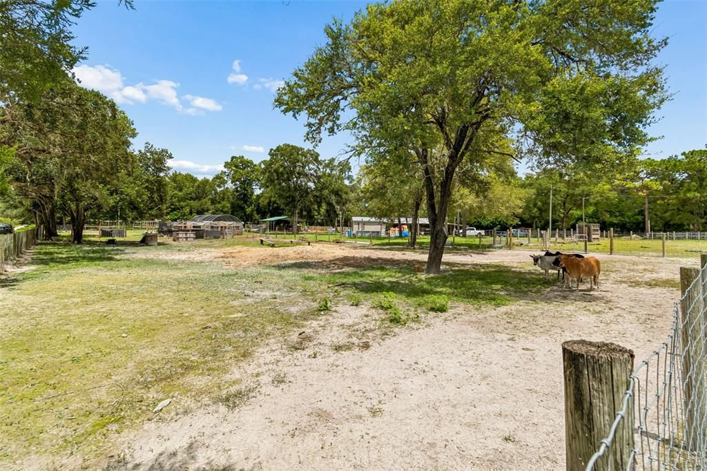 For Sale: $375,000 (3 beds, 3 baths, 1782 Square Feet)